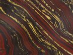 Tiger Iron Stromatolite Shower Tile - Billion Years Old #48799-1